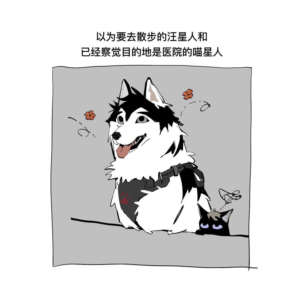 Narywell's tweet photo. 🐶🐈‍⬛ https://t.co/BudGUgfW5L