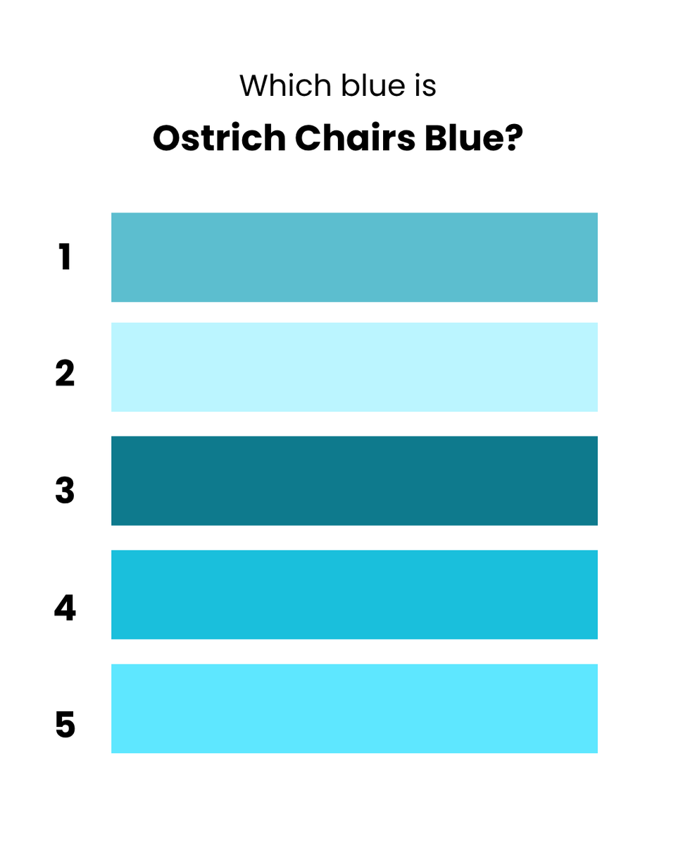 OstrichChairs's tweet photo. only real beach bums will know 👀 https://t.co/UJUQXtYP64