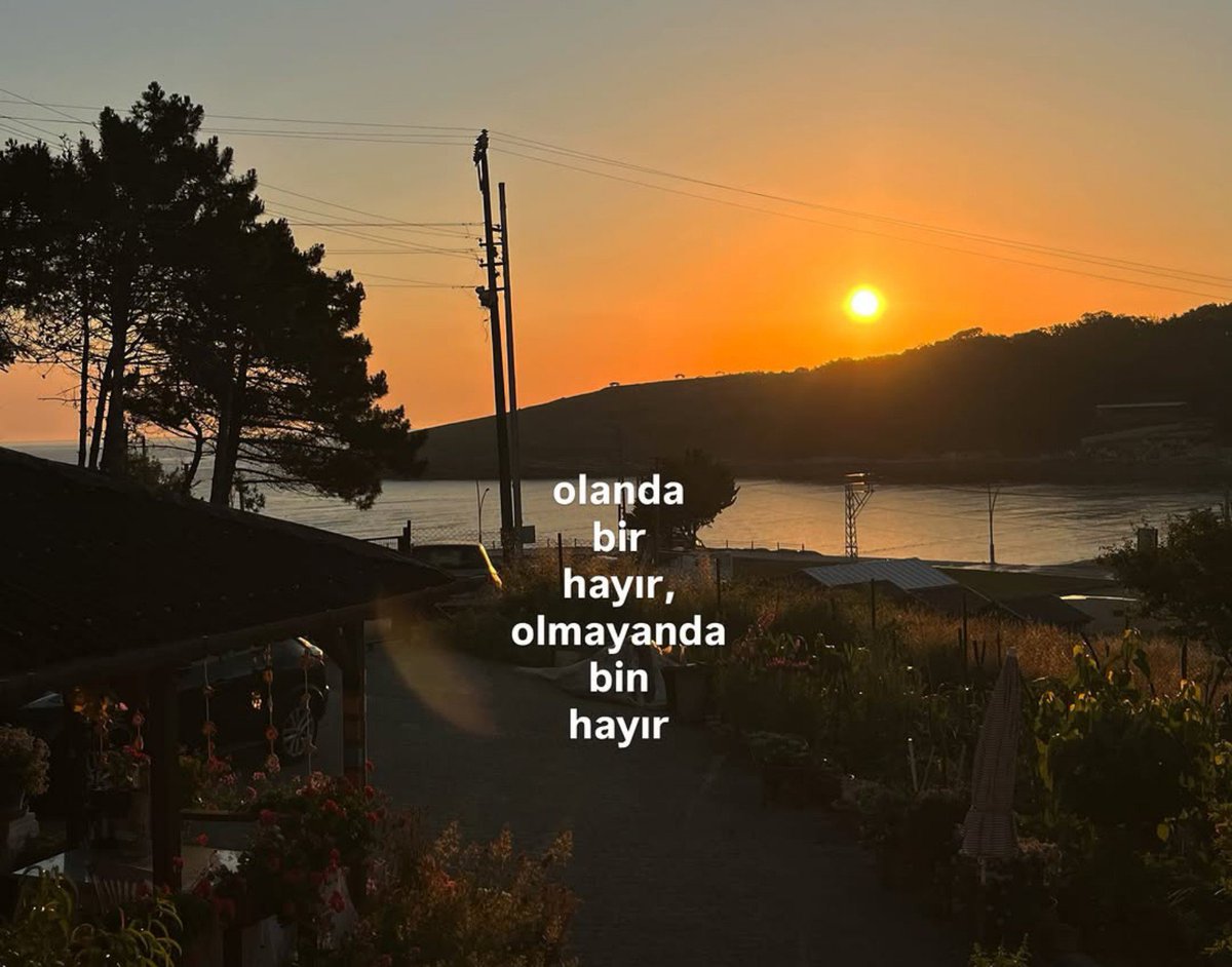 edalayloo tweet picture