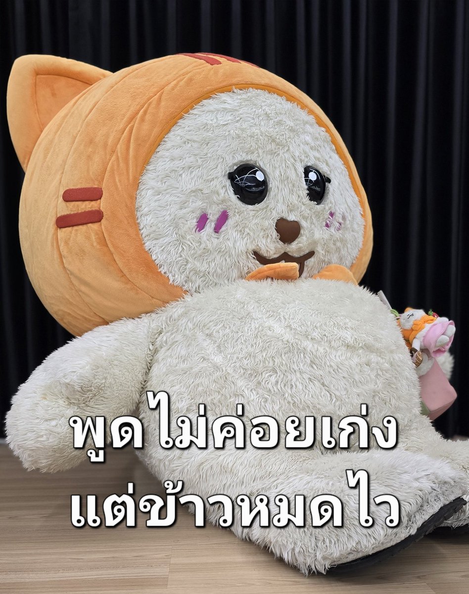 nobodyknowww_s's tweet photo. ถ้ารู้ว่าชอบอะไรจะหาให้เท้ออออ https://t.co/VBdQCrAG26