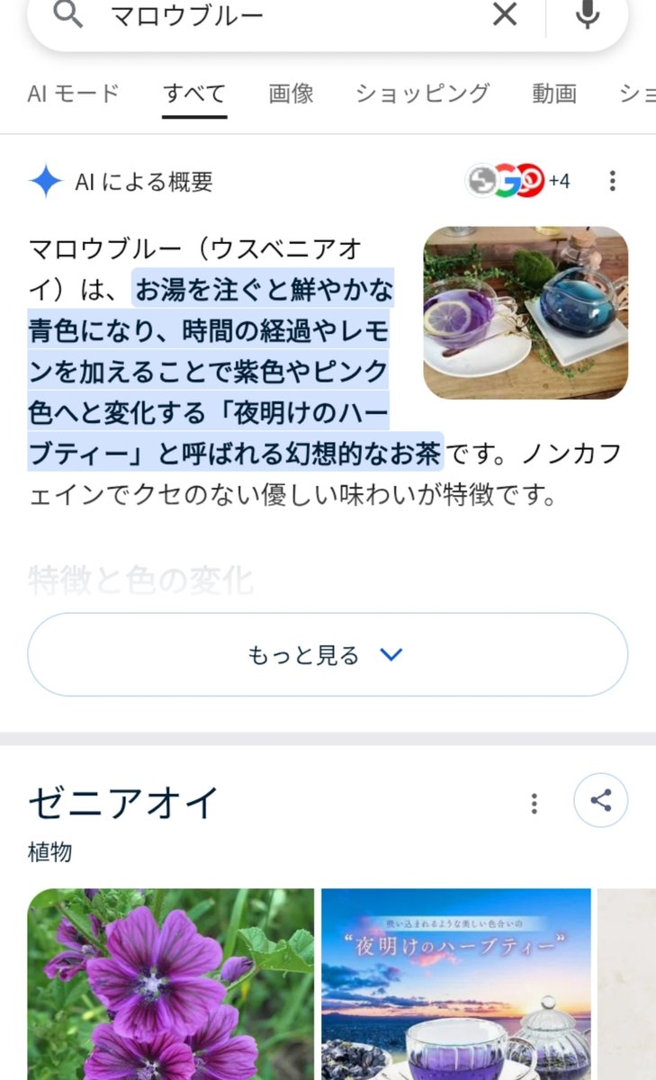 DorotheaViolin's tweet photo. 娘が夏休みの宿題でマロウブルーのお茶の色が変わるっていうのを気に入ったみたいで話してくれて、それを聞いてたらバタフライピーっていうのもあったな？いっとき流行ってた、とググっったら、蝶豆というマロウとは関係ない花で、学名とか花の姿は調べてはダメなやつだった！良い子はマロウブルーで🫖 https://t.co/pwcciVqlWQ