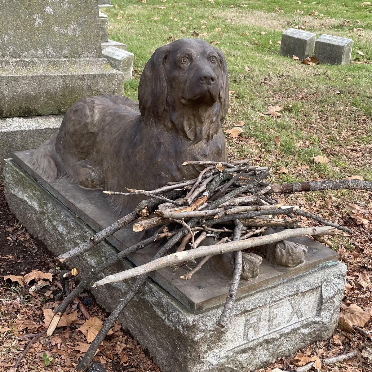 AcervoCharts's tweet photo. Em vez de flores, família deixa gravetos no túmulo de seu cachorro falecido. https://t.co/xaDBwNPjPl