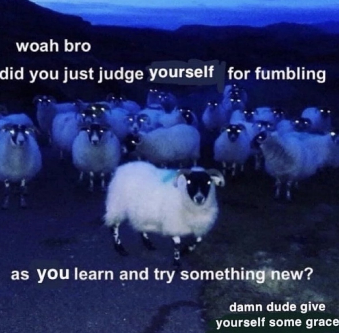 RespectfulMemes's tweet photo. https://t.co/sYDHLSHqNL