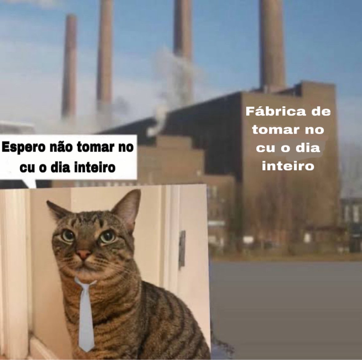 macaquilho's tweet photo. me ajude senhor https://t.co/VfWI4fkQap