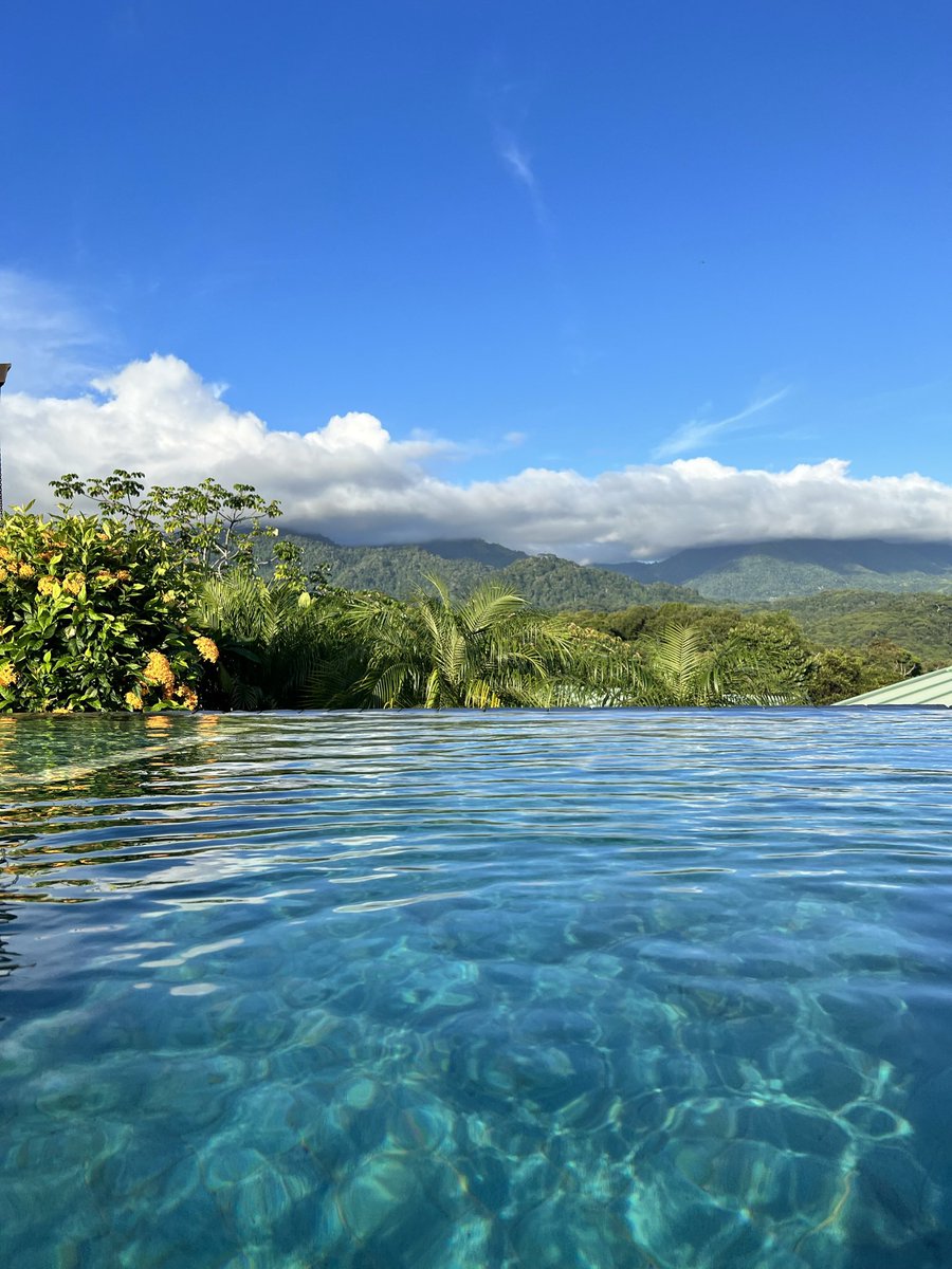 stefanydavla's tweet photo. Four years ago today, I found myself in Costa Rica, drinking ayahuasca.

I had gone there because I was struggling with my dad’s death, and I’d heard ayahuasca had helped many people process grief.

Before I go any further, this is not a recommendation. It was one of the most intense experiences of my life, and it isn’t something to take lightly.

My understanding of it is that it brings what’s already inside of you to the surface through dreams, symbols, and emotions, giving you an opportunity to confront and process them.

I expected it would help me grieve.

What I didn’t expect were all the other dreams that came with it.

About a year earlier, I had read a trading book by someone pretty well known in the trading community. I enjoyed it, but after I finished it, I didn’t give it much thought.

During one of my dreams, I found myself as a young girl sitting in a living room, staring at an old television filled with static. I walked over to fix it.

As the picture came into focus, I realized I wasn’t fixing a television.

I was day trading.

As everything became clear, I felt an overwhelming sense of abundance.

Then time accelerated.

I grew old in what felt like moments.

When I looked around, I was completely alone.

Whether that dream was symbolic or not, the message I took away was unmistakable.

I have a tendency to become so consumed by my work and my goals that I risk neglecting the people I love.

I didn’t start day trading until a few years later, but the idea never left me.

They say once you see something in ayahuasca, you can’t unsee it.

Four years later, the lesson from that dream still sits with me.

Success means very little if you have no one to share it with.