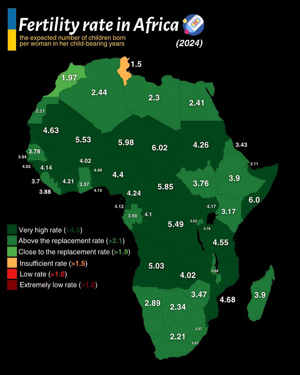 TounsDawla's tweet photo. 🇹🇳👶 La fécondité des Tunisiennes s’effondre et devient la plus faible d’Afrique, un enjeu vital pour les prochaines années ! 

📉 Au début des années 1960, une femme tunisienne avait en moyenne autour de 7 enfants. Aujourd’hui, les estimations placent la Tunisie autour de 1,5 enfant par femme, devant le Maroc, estimé à environ 1,9.

🔴 Cette chute peut s’expliquer par plusieurs facteurs : recul de l’âge du mariage, coût de la vie, urbanisation, scolarisation des femmes, accès à la contraception, mais aussi les grandes réformes sociales après l’indépendance, dont l’interdiction de la polygamie, ainsi que l’adoption progressive d’un modèle familial plus proche des sociétés occidentales.

Derrière ces chiffres, c’est une transformation profonde de la société tunisienne qui se dessine : des familles plus petites, moins de naissances et un vieillissement démographique qui pèsera de plus en plus sur l’avenir du pays.

🚨 La Tunisie se retrouve ainsi dans une situation délicate : elle connaît une faible fécondité comparable à certains pays européens, mais sans disposer du même niveau de richesse, ni du même matelas économique pour absorber les effets du vieillissement démographique.

⚠️ Les chiffres de cette carte restent à prendre comme des estimations approximatives.