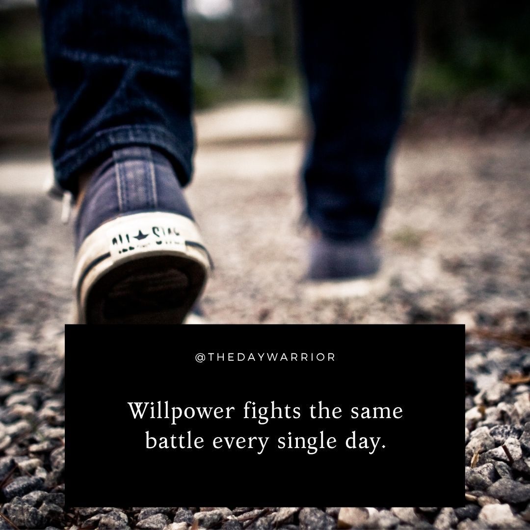 thedaywarrior's tweet photo. Willpower fights the same battle every single day. A designed environment wins it once, in advance, before the fight even starts.

Set the book on the pillow. Lay the gear out. Remove tomorrow's decision tonight.

What's one thing you could prep right now instead of relying on morning willpower?