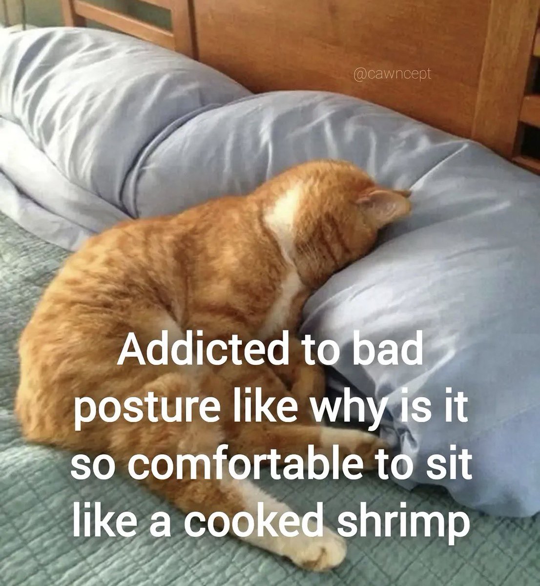 literallymecats's tweet photo. https://t.co/RxJiVtQiQR