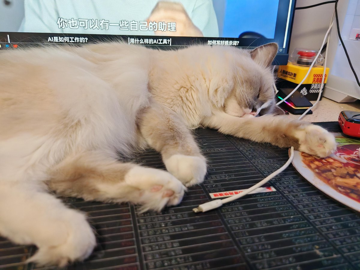 Jeffro_1973's tweet photo. My chonky cat has been curled on my laptop for 30 mins—no work gets done, but this is the best kind of procrastination ever. https://t.co/9VTCBezIV7