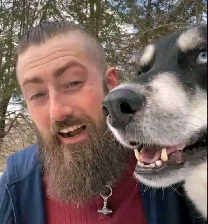 BToro3752's tweet photo. Ha!, your favourite bearded vikings strikes again
#goviral
#usa
#beardedvikings https://t.co/x742pXlzci