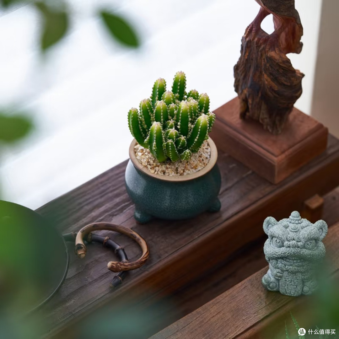 Qween_noodles's tweet photo. Transform your desk into a calm, productive zone with just 3 small tweaks: a potted succulent, a single notebook, and a cable organizer. No clutter, just focus. https://t.co/NMraDknPFR