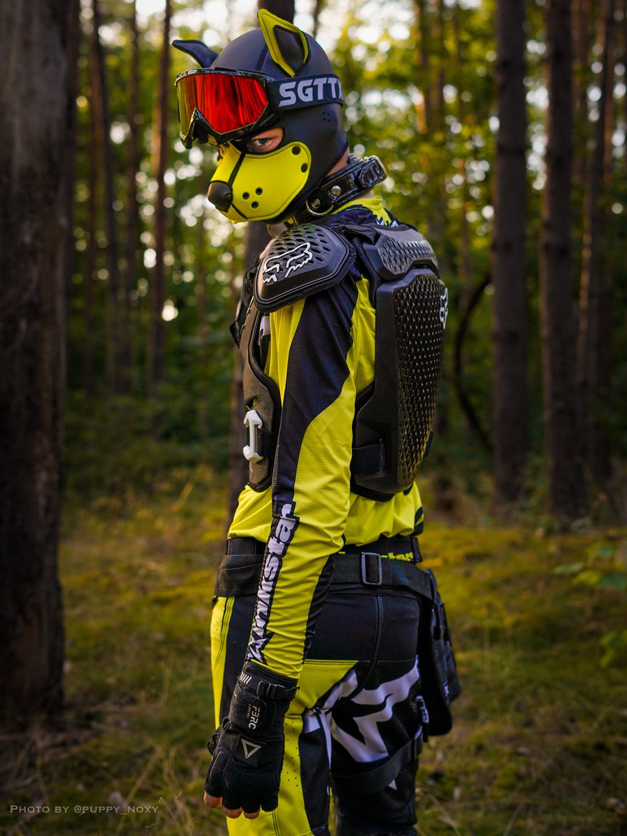 puppy_noxy's tweet photo. Some of my favorite gear💛 https://t.co/dUhp0gjE42