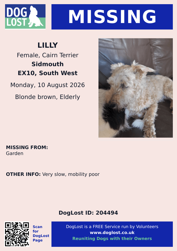 millypod1's tweet photo. 🆘10 AUG 2026 #Lost Lilly #ScanMe
ELDERLY Cairn Terrier Female PLEASE SHARE.
A 16‑year‑old Cairn Terrier with dementia😢
Whitethorn Close (Woolbrook)
#Sidmouth #Devon #EX10
https://t.co/YaY46K5BTQ https://t.co/vpzZp5RuMk