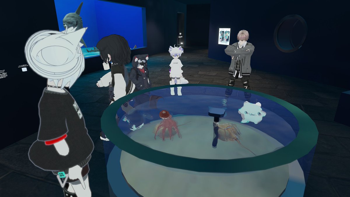chaineuneu's tweet photo. 今日は水族館を巡った後必殺技を考えてアキさんに立ち向かいました
†堕契罰殺術† https://t.co/RXcFhPEhdV