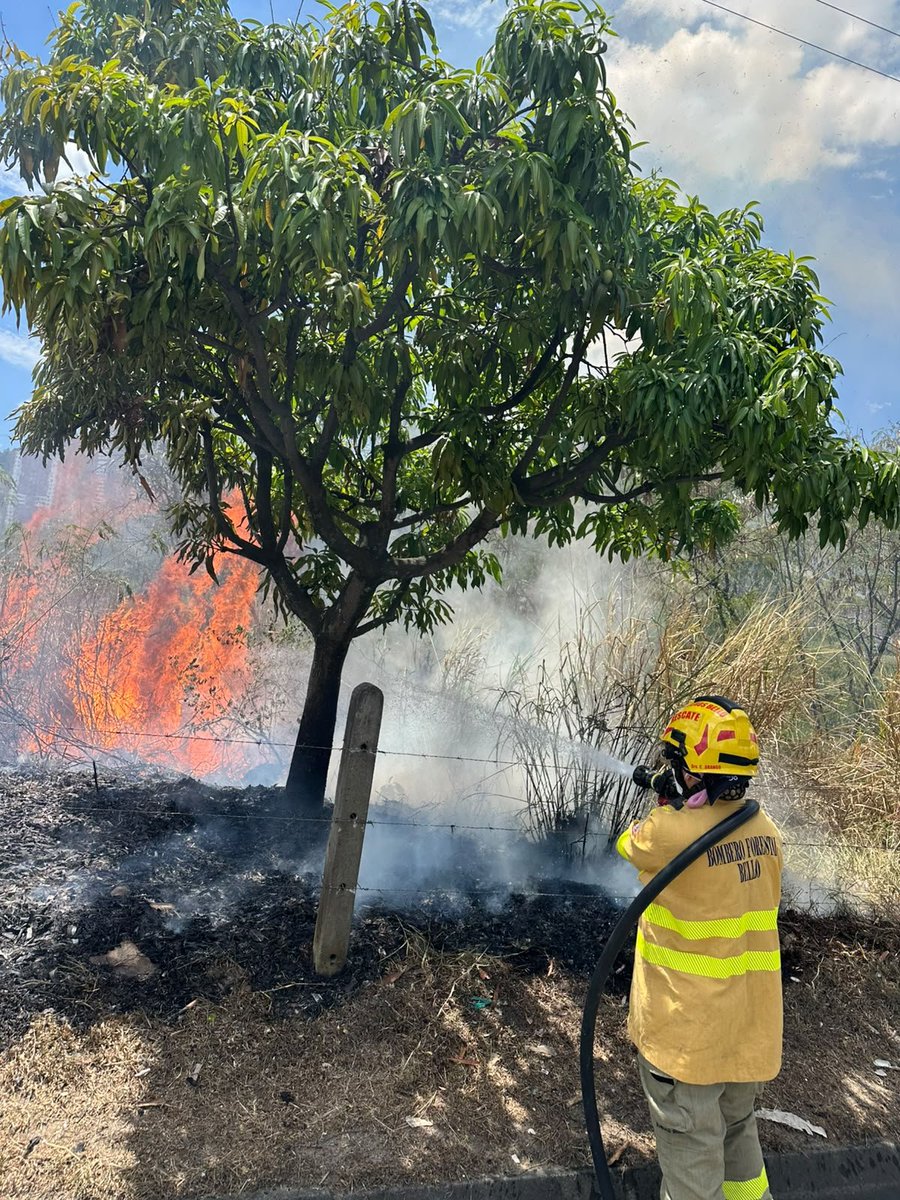 AlcaldiadeBello's tweet photo. 🚨ATENCIÓN | Incendios forestales.

La Secretaría de Gestión del Riesgo, en articulación con el Cuerpo de Bomberos de Bello, atiende en este momento dos incendios de cobertura vegetal en el sector de la vía Regional, vía La Seca. https://t.co/1PnaJh0lIQ