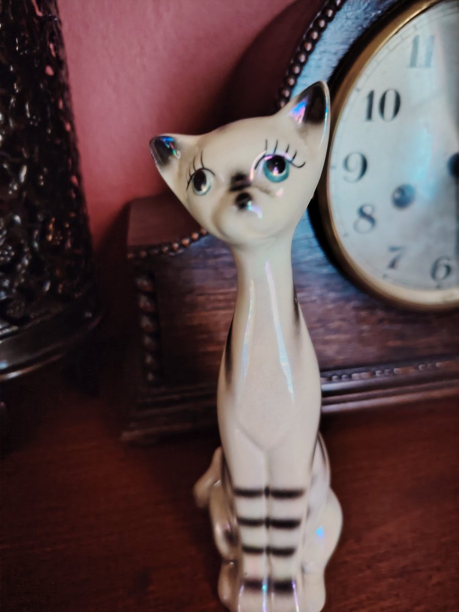 Cate43's tweet photo. @rickygervais Definitely Ponce! When's the merch coming? Although he did remind me of my shelf cat https://t.co/wF6ljlSCUe
