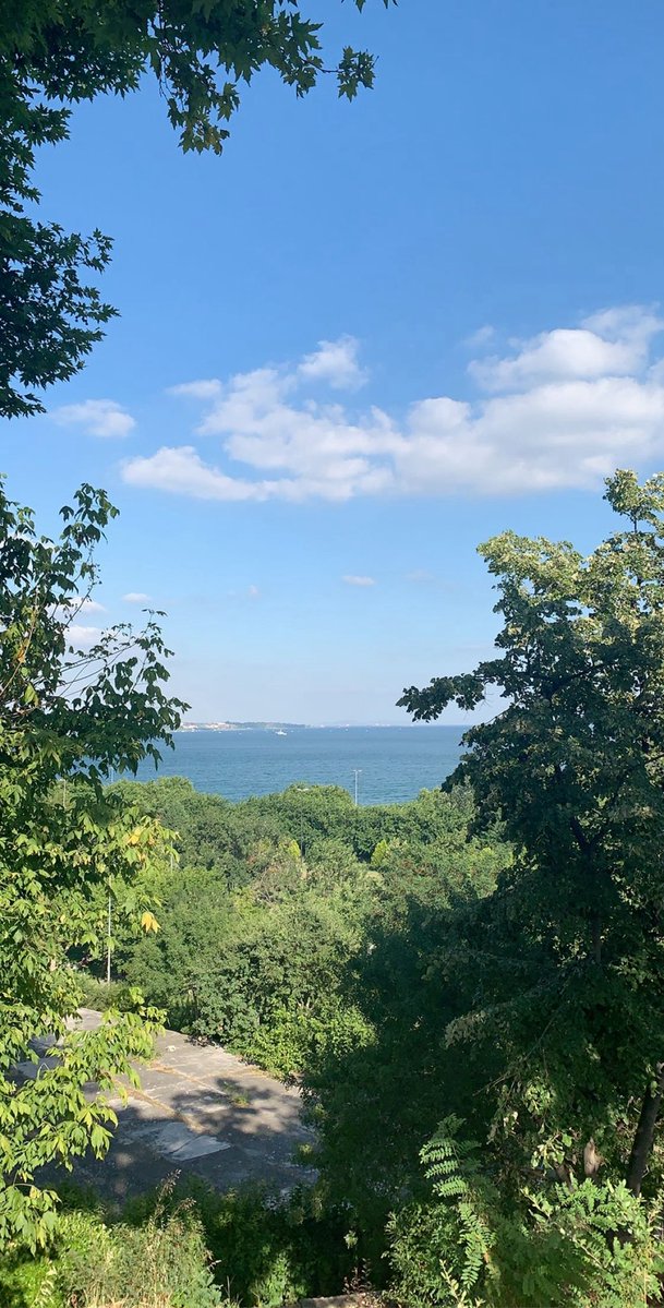 DavePresi's tweet photo. The pics filled in my camera roll. 

Please quote let’s see your “nature pics” https://t.co/LGgP15vNVa