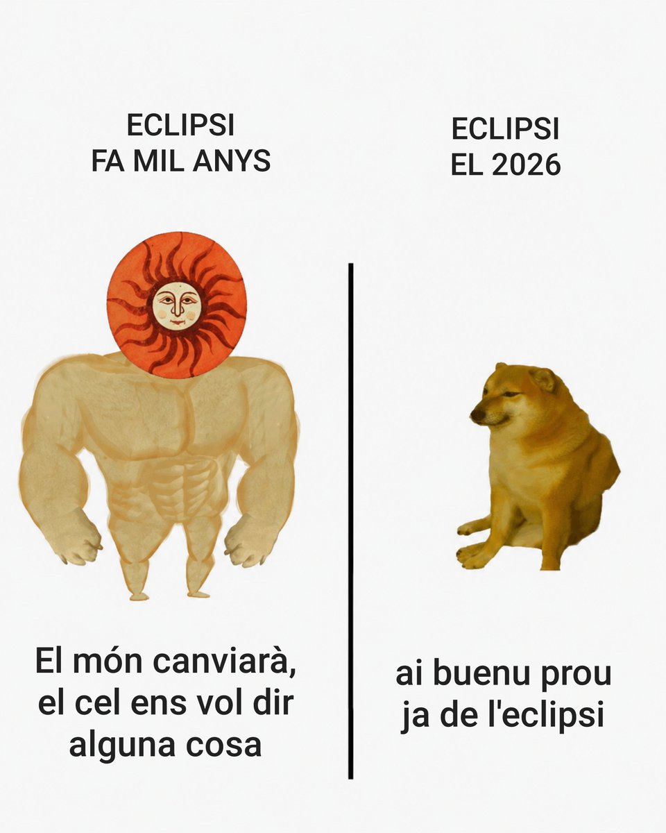 RomanicCatala tweet picture