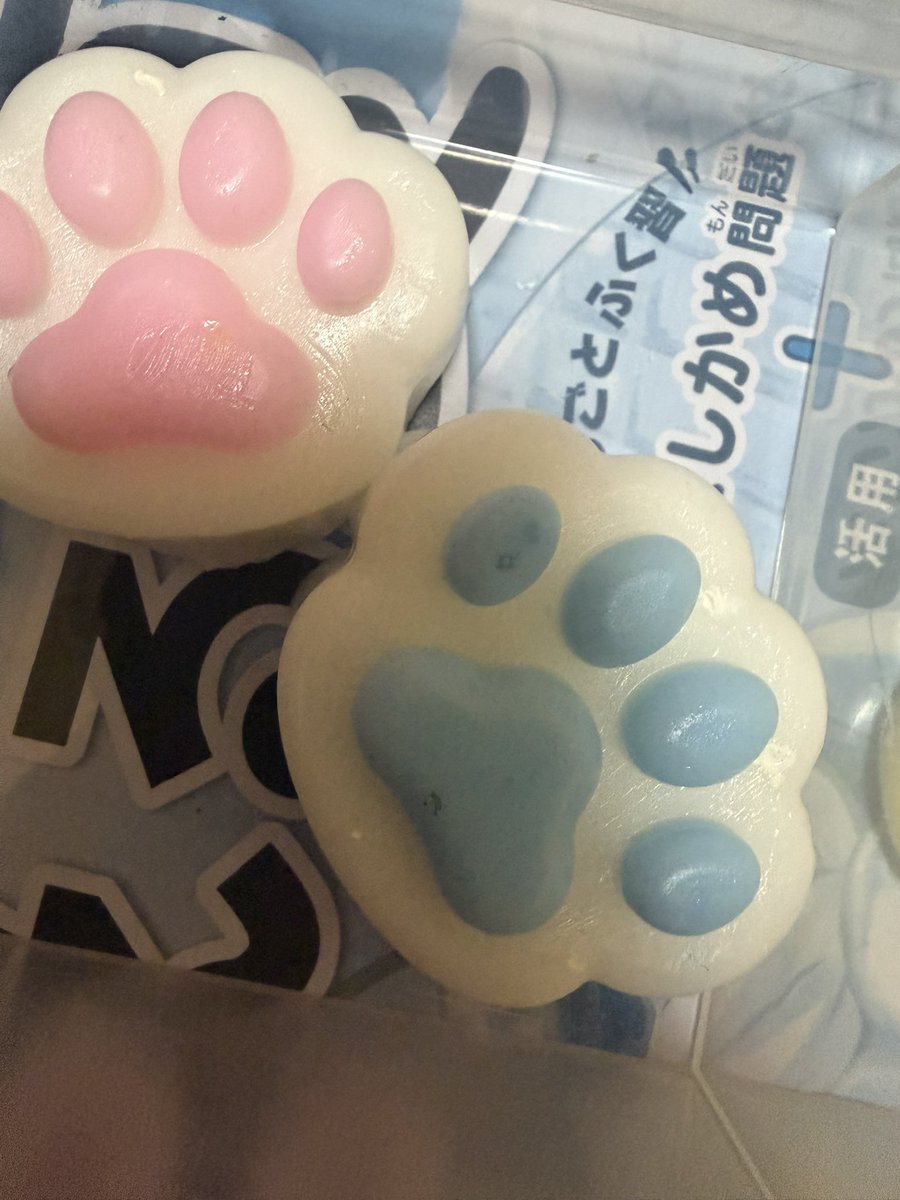 2965y0507's tweet photo. 工作の宿題で
色んなスクイーズ作ったよ、、、
親が！！！！！笑
トータル25個ぐらい作ってヘトヘト！
親が！！！！！笑
肉球が1番上手く作れた
親が！！！！！笑 https://t.co/yznx1iOdDj
