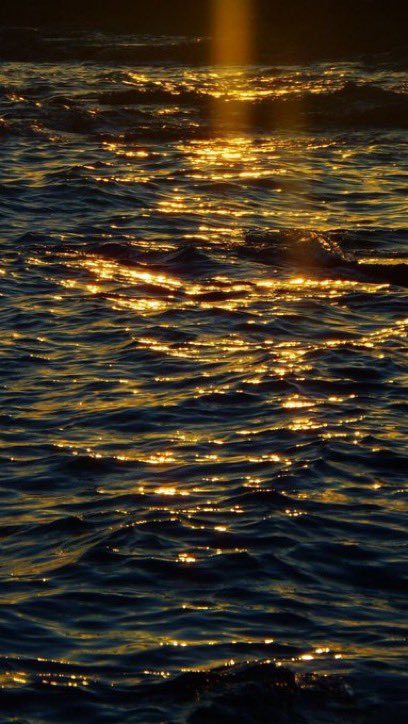 lunecrumbss's tweet photo. sunset on water https://t.co/SfNhVjql1x