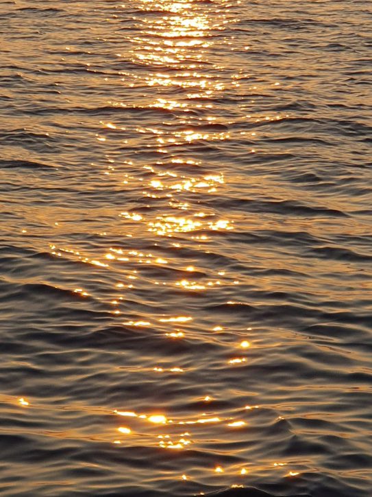 lunecrumbss's tweet photo. sunset on water https://t.co/SfNhVjql1x