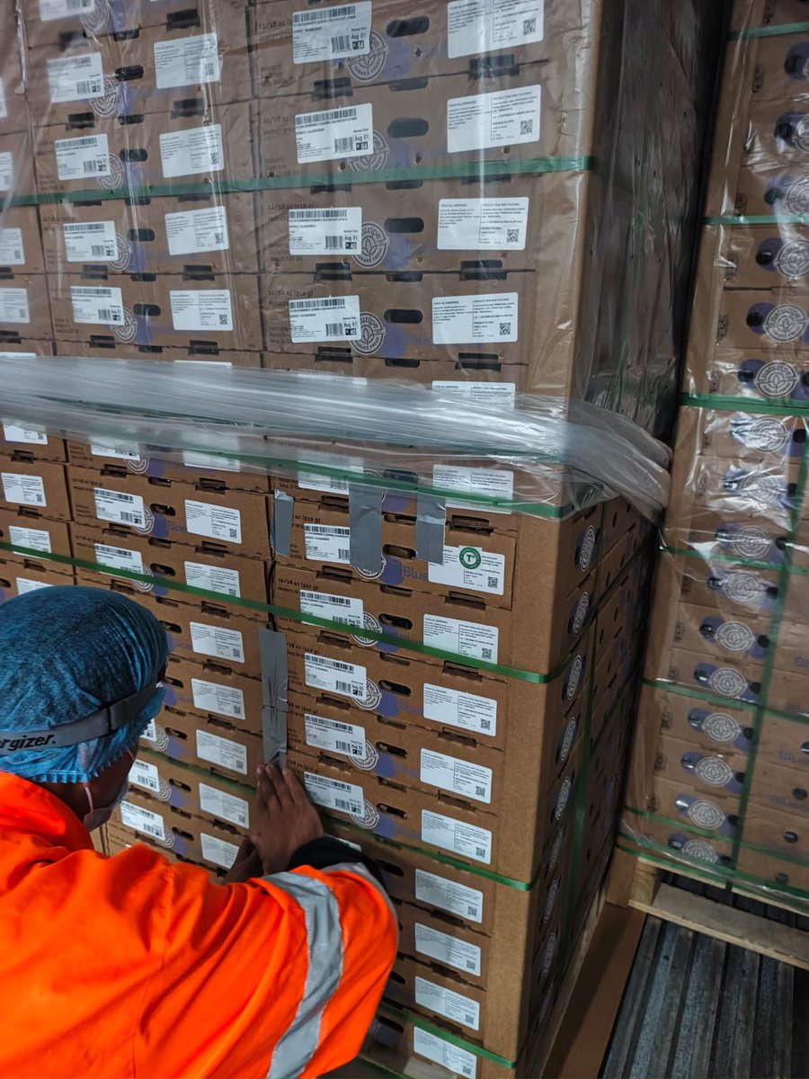 AgrocalidadZ7's tweet photo. 👍🏽 | #CertificamosCalidad

Inspeccionamos 2 contenedores de arándano 🫐 en Zapotillo para su exportación a Estados Unidos 🇺🇸. 

Garantizamos el cumplimiento de los requisitos fitosanitarios para acceder a mercados internacionales.

#ProtegemosElAgroEcuatoriano💪🏽 https://t.co/W8l8jmKFAS