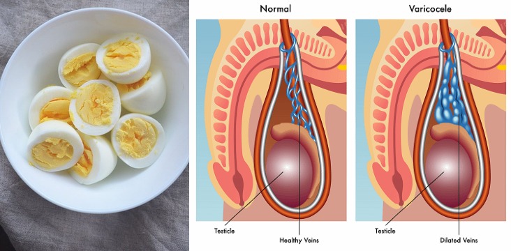 PathOfMaculine's tweet photo. 10 Habits That Turn Men with Low Testosterone into High-Testosterone Beasts.

(Do Them All Every Day)

1. Eat eggs (The T Factory) https://t.co/opOu7Bv7JK