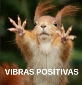 updatealdo's tweet photo. 📢| Prendanle una velita, hagan una limpia, manden buenas vibras, para que todo vaya super bien hoy 
Para que todo salga como debe de salir, y para que el trabajo de los chicos y Aldo se pueda apreciar de la mejor manera 💗✨ https://t.co/sKnPUC5vHl