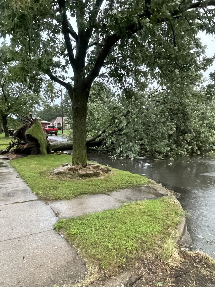 RaeAshcroft's tweet photo. The tornado took out my tree https://t.co/HlGgZewnJj