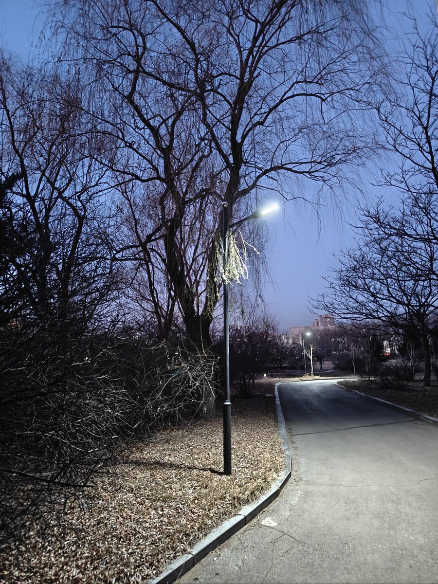 Schy15's tweet photo. Caught this quiet street corner glow on my evening walk—small, unplanned moments hit different.， https://t.co/XHy8v1dxFw