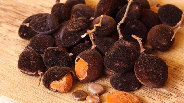 HerbalistChief's tweet photo. This indigenous fruit is called black velvet tamarind (Akosua tuntum, licky-licky, awin or yooyi). 

Licking the fruits frequently can treat and prevent stomach ulcer. https://t.co/rd79W328BG