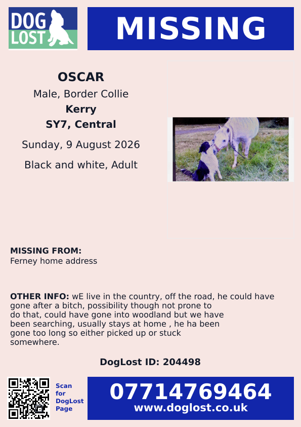 millypod1's tweet photo. 🆘9 AUG 2026 #Lost Oscar #ScanMe #STOLEN??
Border Collie Male
#Onibury #CravenArms #Shropshire #SY7
https://t.co/EFPV2mXrGX https://t.co/zKFTJCIT5f