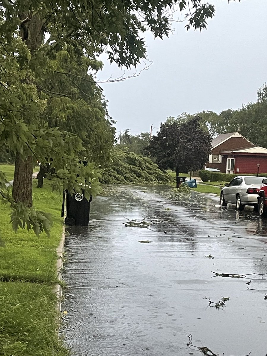 RaeAshcroft's tweet photo. Fuck.. all of our trees were taken out by the tornado, power lines knocked out. No power. Another storm on the way. Our street is blocked by trees.. phones about to die.. what the literal fuck. https://t.co/s8QMdtcn5J