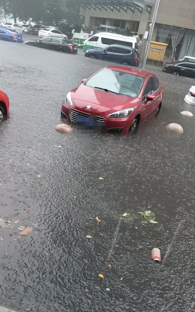 P919Silva's tweet photo. A stranger stopped and helped me fix my flat tire in the pouring rain, no extra words, just a hand extended when I needed it most. What a little warm light in a busy day. https://t.co/WkA7WVMu98
