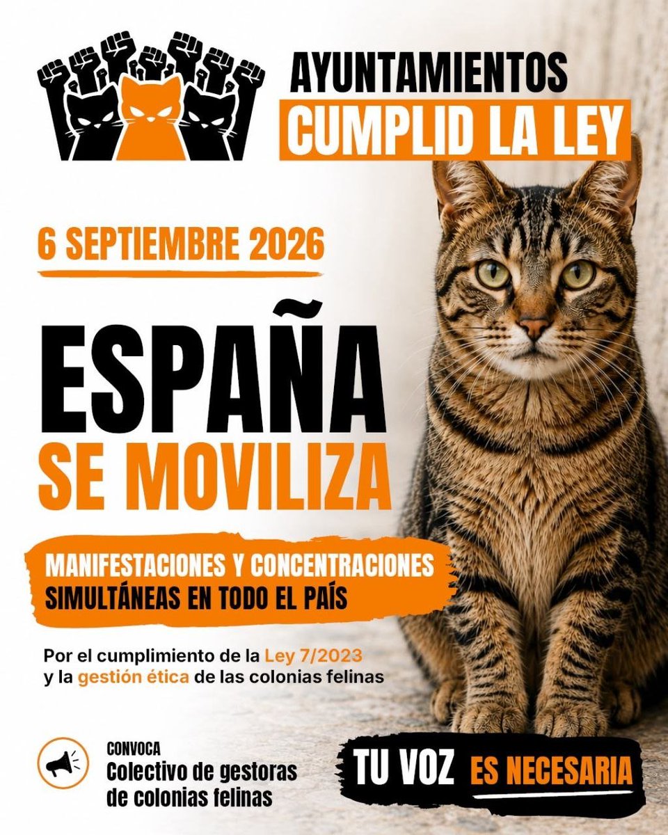 podemosmad's tweet photo. 🐾 El 6 de septiembre salimos a la calle para exigir el cumplimiento de la Ley 7/2023 y defender a las colonias felinas. Desde Podemos apoyamos esta movilización de la sociedad civil organizada. 🐱💜
📅 6S | 🕛 12:00
#ColoniasFelinas #Ley72023 #6S https://t.co/bXFWVMXqlp