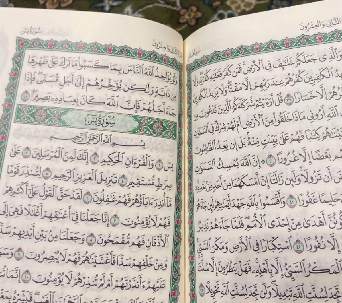 Athrril's tweet photo. في حلقات القرآن لجميع مأجور
الطالب يقرأ فيؤجر على قراءته،
وتعلّمه وإعادته،
والمعلّم يستمع ويصحح فيؤجر على ذلك، والطلاب يستمعون فيؤجرون،
والأعظم من هذا أن المجلس قد

حضرت الملائكة واستمعت!

أي مجلس من مجالس الدنيا يعادل
جمال وهيبة مجالس القرآن!
هل شكرت الله على هذا النعيم؟ ❣️ https://t.co/t9Q4Sbprlw