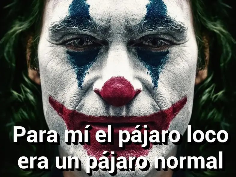 udqnes's tweet photo. @t_anairo cuando se toma café negro desde los 4 años la ansiedad se vuelve un estado natural https://t.co/SeNpzlTqJJ