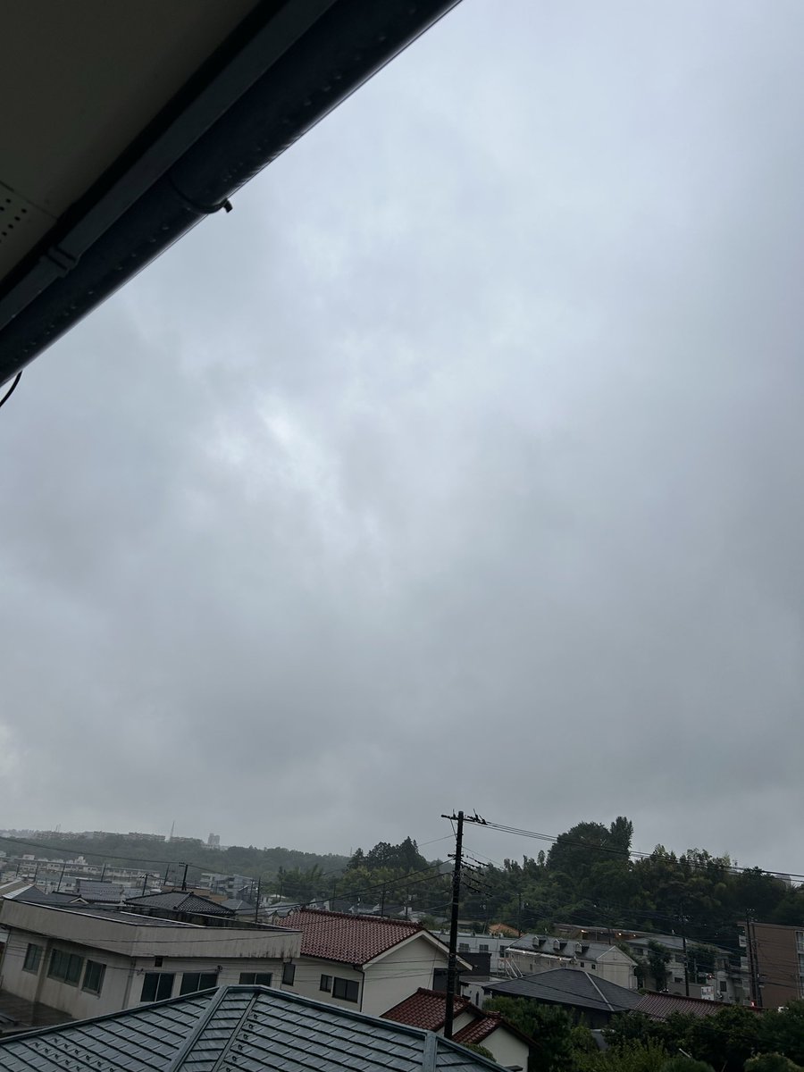 nasu19771's tweet photo. 今朝の八王子は台風の影響の雨となっています
(八王子、5時、21.2℃)
今日の八王子は台風の影響で一日中雨で予想最高気温は25℃でしょう
大雨なので大きめのナスとキュウリのみ収穫して配達準備終えました
おはようございます☂️ https://t.co/ixcb3qjE7p