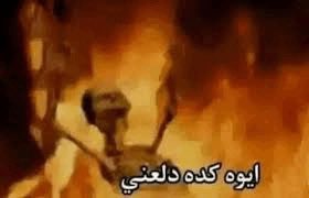SolidNaif's tweet photo. @Bakr_AXB انا ومنصور مع كل راوند https://t.co/e6iNFB4Iph
