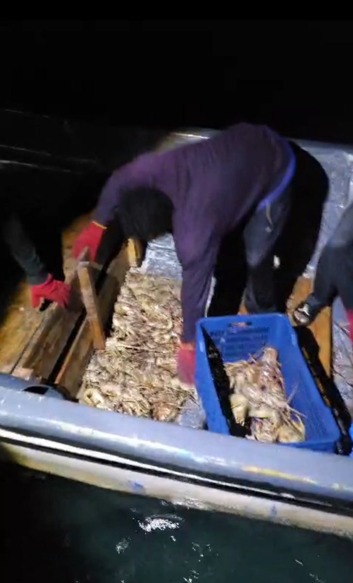 InpescaNic's tweet photo. Por eso desde #INPESCA  promovemos una pesca responsable y sostenible para que cada protagonista cumpla con las normativas y tallas mínimas para proteger nuestros recursos.
#AgostoVictorioso
#TodosLosTriunfoSonDelPueblo
#VivaSandino
#SiempreMasAlla https://t.co/RtPx1KxPoo