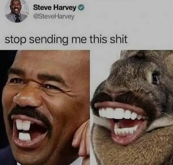 Shitpost_2048's tweet photo. https://t.co/MEjKVkn1HJ