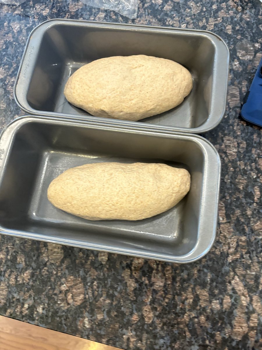 WheatThicc's tweet photo. Rise and grind, gamers! It’s time to make dat BREAD! https://t.co/I78aLhtFk4