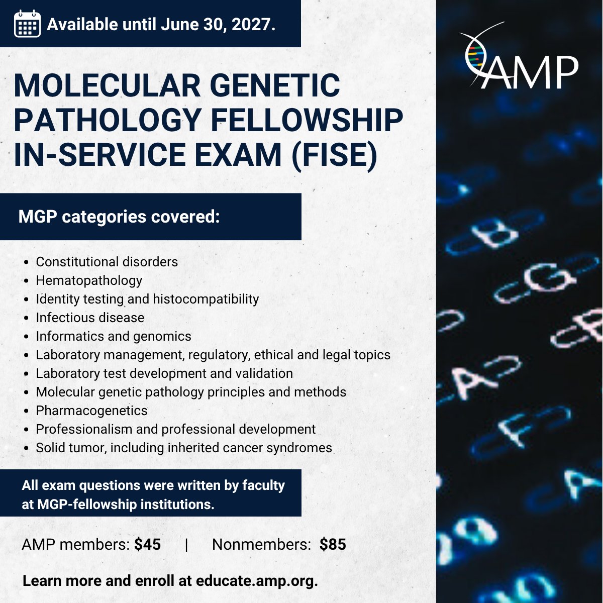 AMPath's tweet photo. Use our practice test to prep for the MGP exam. 

Each time you take it, you’ll get 75 random questions from a bank of more than 600. They were all written by faculty at MGP-fellowship institutions. Take it as many times as you like.

🔗https://t.co/JZGwEEZ7ou https://t.co/LWqlvyTbmU