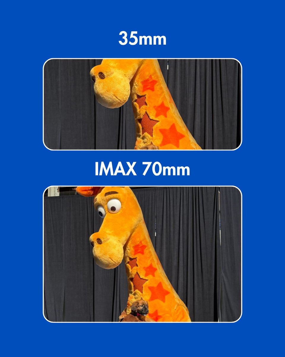 ToysRUs's tweet photo. It's hard being a 9-foot-tall giraffe...
-
See the ENTIRE toy collection for yourself with ALL of your favorite toys at Toys"R"US at Macy's! Shop in-store or online TODAY at the link in our bio. https://t.co/62jtOgzFGd