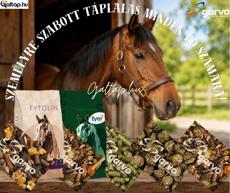 GaltapM's tweet photo. Prémium Garvo lótakarmányok a galtap.hu-n! 🐴✨
* Lucerna pellet (20 kg):
*SENIOR müzli (15 kg)
* Fű pellet (15 kg)
* Ló és póni müzli (20 kg)
* Melegvérú ló müzli (20 kg)
👉 Rendeld meg most: https://t.co/s3fOTaeatc
#galtap #lotakarmany #lótáp #lomuzli #lucernapellet #fupellet https://t.co/fcu5EXpM9B