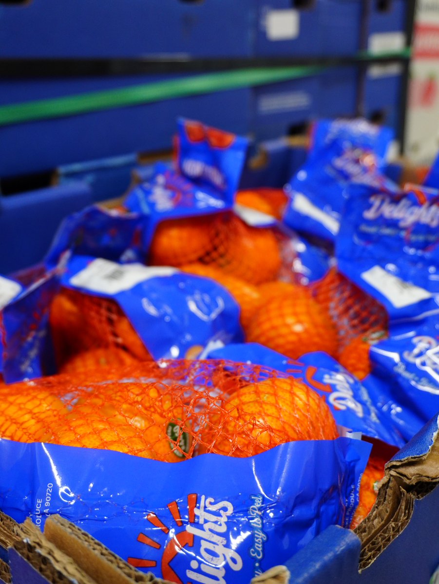 KimballProduce's tweet photo. Chilean Mandarins are front and center. 🍊Packed in 10/3 bags, these mandarins are showcasing beautifully with an impressive finish and presentation. Safe to say, they’ve earned their spot in the spotlight! #ChileanMandarins #FreshProduce #Citrus https://t.co/vAaPDjzpjR