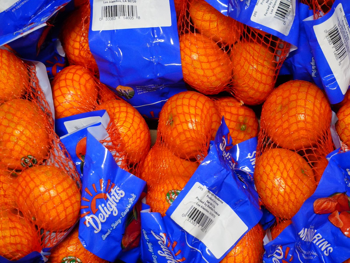 KimballProduce's tweet photo. Chilean Mandarins are front and center. 🍊Packed in 10/3 bags, these mandarins are showcasing beautifully with an impressive finish and presentation. Safe to say, they’ve earned their spot in the spotlight! #ChileanMandarins #FreshProduce #Citrus https://t.co/vAaPDjzpjR