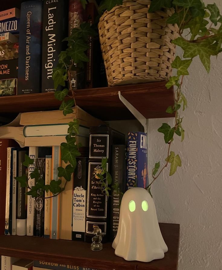 AcademiaDreams's tweet photo. guardians of the bookshelves https://t.co/2Fdy4pKhR4