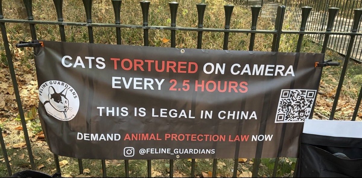 LiaTcxyn's tweet photo. Yes!Come visit China—skip the tourist traps!See the real sights: security guards beat strays to death,teens as young as 10 burn/dismember kittens alive,torture livestreams everywhere
Pro tip:Bring your own cat/dog—They can end up on someone’s plate #中国景点 #中国旅游 #成都 #上海 https://t.co/l2bSI1WmXD