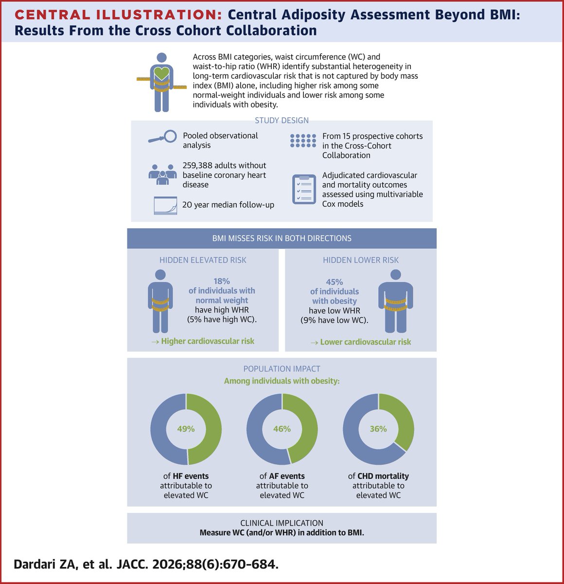 EricTopol's tweet photo. Impact of belly fat on cardiovascular outcomes.
Missed in both directions by BMI.
Waist circumference and/or waist-to-hip ratio measurements are key.
AF-atrial fibrillation, HF-heart failure, CHD-coronary heart disease 
@JACCJournals 
https://t.co/m7QoMQ2CUi https://t.co/H4dAWeAP0Z